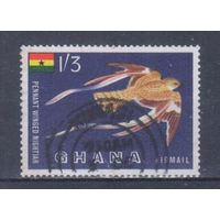 [346] Гана 1959. Фауна.Птицы. Гашеная марка.