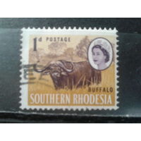 Южная Родезия, 1964. Королева Елизавета II и буйвол