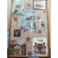 Коллаж из бумаги Коты