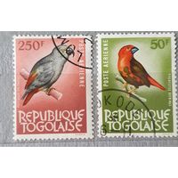 Того птицы 2шт