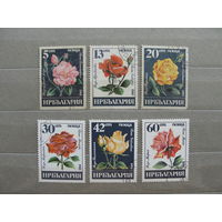 Продажа коллекции с 1 рубля! Флора на почтовых марках мира.