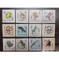 Польша. Фауна. Пресмыкающиеся, земноводные (1112)