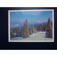 С Новым годом!  1983 г.  Горы, ели, снег.  подписанная.