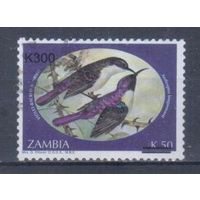 [1587] Замбия 2002. Фауна.Птицы.Нектарницы. НАДПЕЧАТКА. Гашеная марка. Кат.гаш.5 е.
