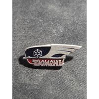 Значок Тюмень