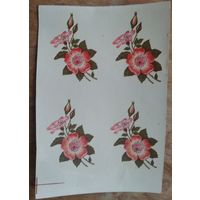 Переводные (сдвижные) картинки.  Цена за все.