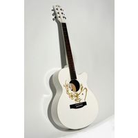 Представляю гитару ANDREW JZ-7006