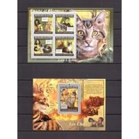 Гвинея 2011 Фауна домашние кошки - 1 лист + 1 блок MNH**