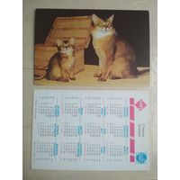 Карманный календарик. Кошки . 1996 год