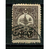 Османская Империя - 1908 - Тугра Абдул Гамида II 2Pia - [Mi.138C] - 1 марка. Гашеная.  (Лот 18JD)-TG2P1