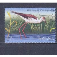 [2096] Румыния 2009. Фауна.Птицы.Кулик. Гашеная марка.