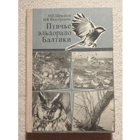 Птичье эльдорадо Балтики | М.Е. Шумаков Н.В. Виноградова | Птицы | Природа