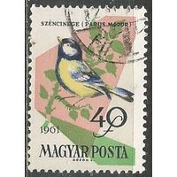 Венгрия. Птицы. Большая синица. 1962г. Mi#1809.