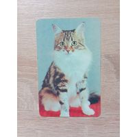 Календарик 1992