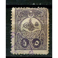 Османская Империя - 1908 - Тугра Абдул Гамида II 5Pia - [Mi.140E] - 1 марка. Гашеная.  (Лот 19JD)-TG2P1