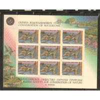 Россия-1995 ,  ** , Утки, м/л