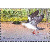 Беларусь 1996 фауна утки