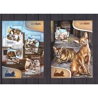 Гвинея 2015 Фауна домашние кошки - 1 лист + 1 блок MNH**