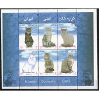 Иран 2004. Кошки блок (2980)