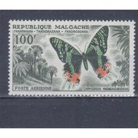 [859] Мадагаскар 1960. Фауна.Бабочка.100 ф. MNH. Кат.6 е.