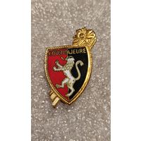 Значек знак Courmajeure альпинизм Туризм Горы Лыжи Эдельвейс
