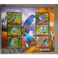 СЕРИЯ Блоков птицы   фауна  MNH