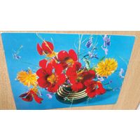 Открытка. Красные и желтые на синем.1976 год