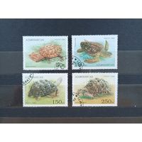 Черепахи Азербайджан 1995 //  Змеи СССР 1977 // Без минимальной цены