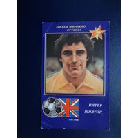 Календарик 1991 г.  Питер Шилтон.