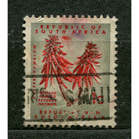 Коралловое дерево. Южная Африка. 1961