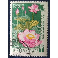 СССР 1966 Сухумский ботанический сад, цветы 1 из 3.