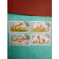 Фауна на почтовых марках