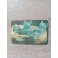 Календарик 1991