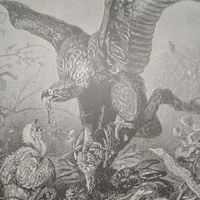 Энциклопедическая гравюра . Орлиное гнездо. 23х15см. конец19 нач.20век.