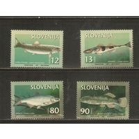Словения-1997(Мих.178-181) , **  ,    Фауна,  Рыбы (полная серия)