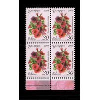 Беларусь. 2008. Стандарт.  Петуния (30р) (з.85-2011)