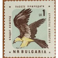 Болгария. Фауна. Птицы. Gypaetus Barbatus