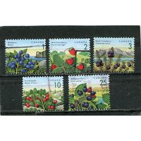 Канада. Съедобные ягоды