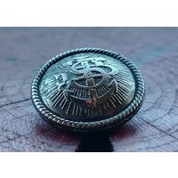 Пуговица морская (Европа)