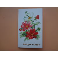 Поздравляю!  Ромашки.  1989 г.  двойная.
