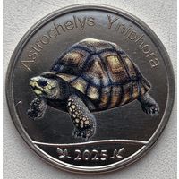 Праслин (Сейшельские острова) 5 рупий 2025 г. Черепаха