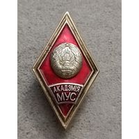 Академия МВД