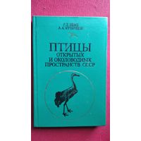 Р.Л. Бёме и др. Птицы открытых и околоводных пространств СССР. Полевой определитель