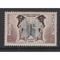 Мадагаскар Малагасийская Республика /Malagasy 1960* Фауна Бабочки (Mi#447)
