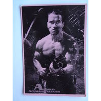 Календарик 1901-2000 г.  Шварценеггер.