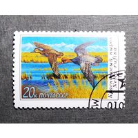 Марка СССР 1990 год Утки