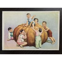 Большая тыква 1960-е подписанная открытка СССР