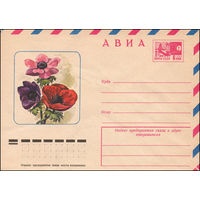 Художественный маркированный конверт СССР N 10727 (11.08.1975) АВИА  Анемоны