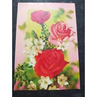 Розы. Италия