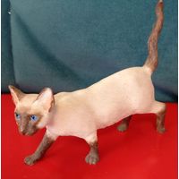 Статуэтка Сиамский кот   the Leonardo Collection, Англия